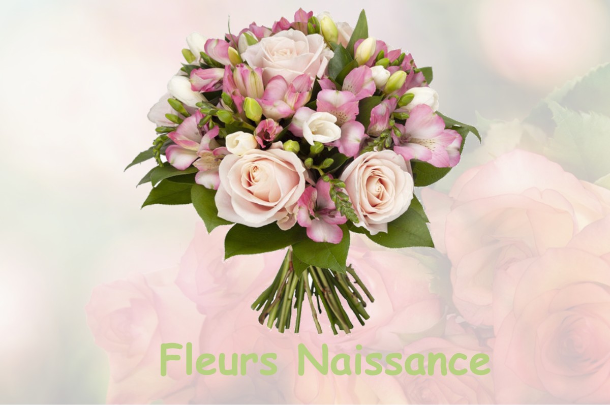 fleurs naissance NOTRE-DAME-DE-COURSON